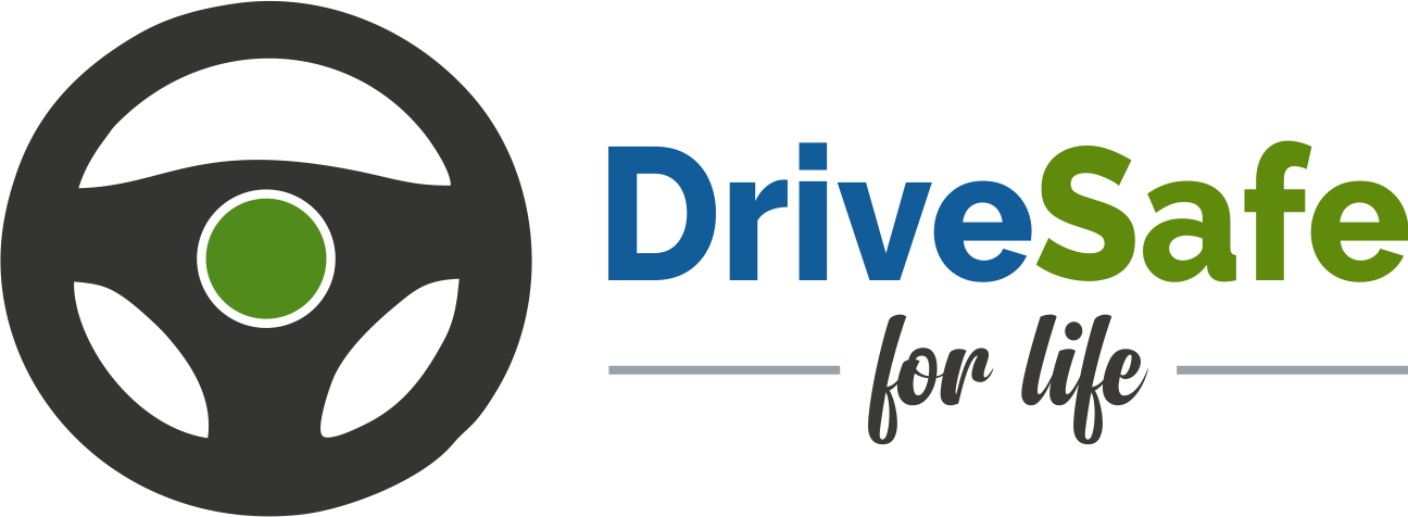 DriveSafe Logo